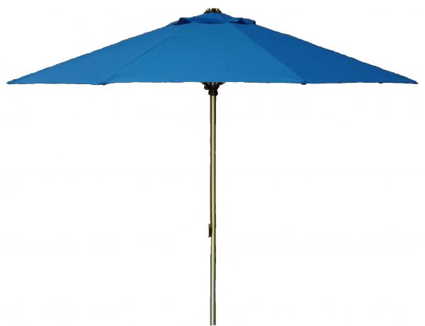 Umbrella Umbrella