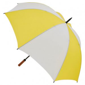 Striped Umbrella Striped Umbrella