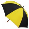 Striped Umbrella Striped Umbrella