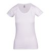 Ladies Tshirt Ladies Tshirt