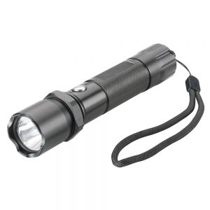 Torch with Compass Torch with Compass