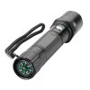 Torch with Compass Torch with Compass