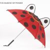 Umbrella Umbrella