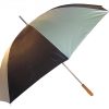 Umbrella Umbrella