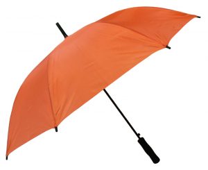 Umbrella Umbrella