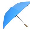Umbrella Umbrella
