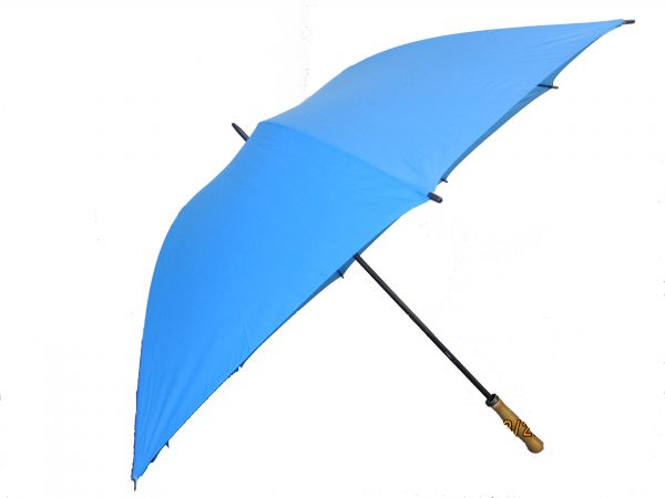 Umbrella Umbrella