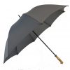Umbrella Umbrella