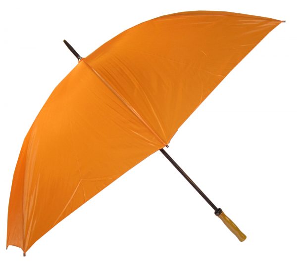 Umbrella Umbrella