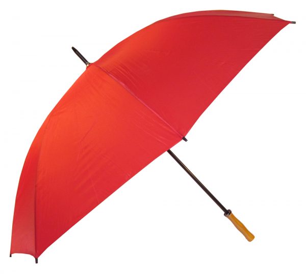Umbrella Umbrella