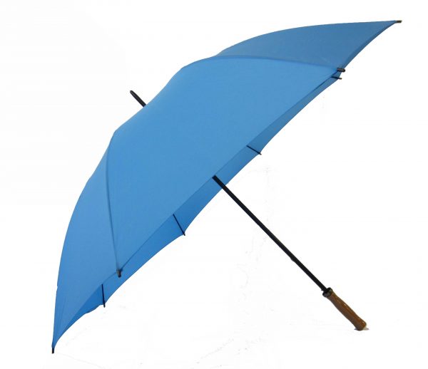 Umbrella Umbrella