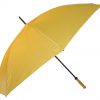 Umbrella Umbrella