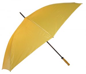 Umbrella Umbrella