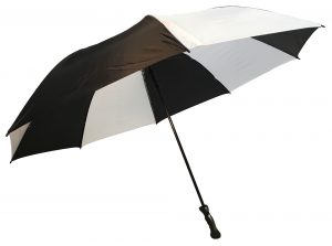 Umbrella Umbrella