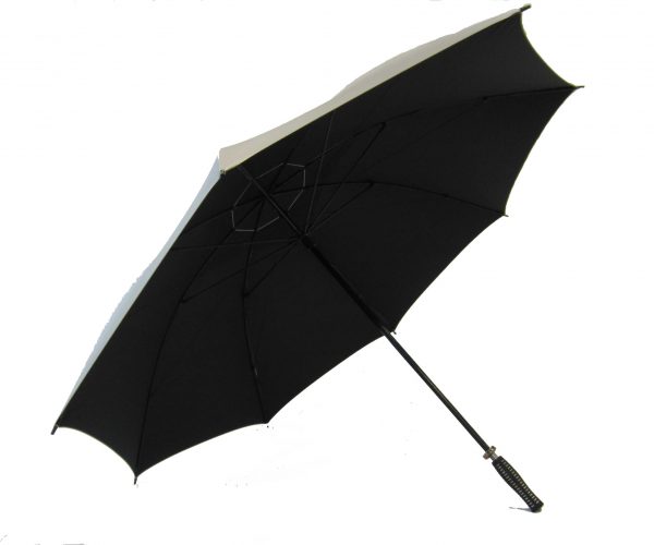 Umbrella Umbrella