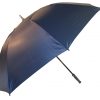 Umbrella Umbrella