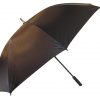 Umbrella Umbrella
