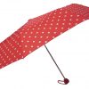 Umbrella Umbrella