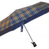 Umbrella Umbrella