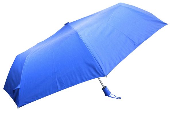 Umbrella Umbrella