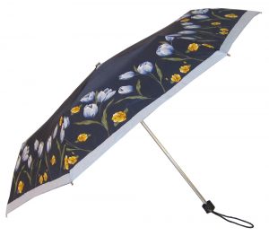 Umbrella Umbrella