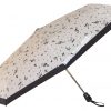 Umbrella Umbrella