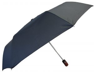 Umbrella Umbrella