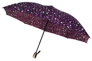 Umbrella Umbrella