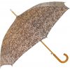 Umbrella Umbrella
