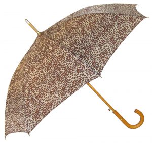 Umbrella Umbrella