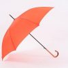 Umbrella Umbrella