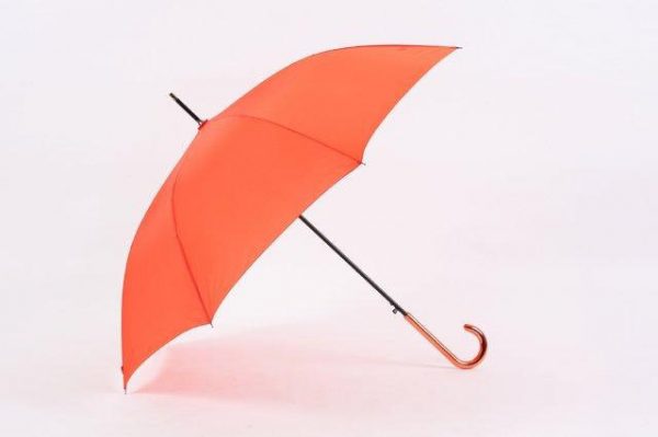 Umbrella Umbrella