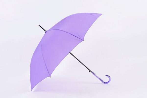 Umbrella Umbrella