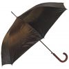 Umbrella Umbrella