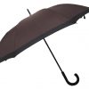 Umbrella Umbrella