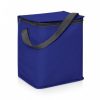 Bottle and Can Cooler Bag