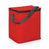 Bottle and Can Cooler Bag