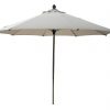 Umbrella Umbrella