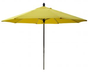 Umbrella Umbrella