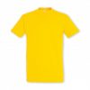 Adult T-Shirt Adult T-Shirt