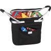 Picnic Cooler